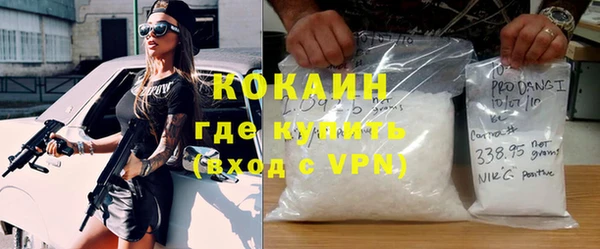 крисы Лагань