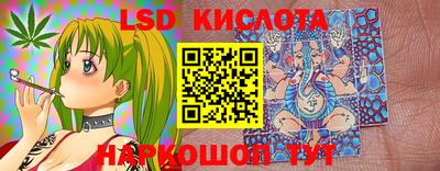 стафф Гай