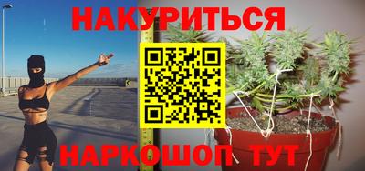 стафф Гай