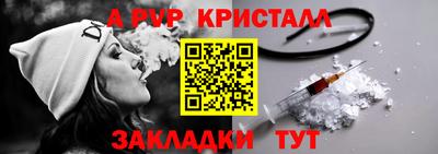 стафф Гай