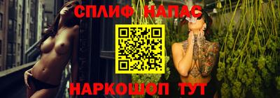 стафф Гай