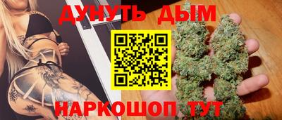 стафф Гай