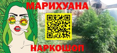 стафф Гай