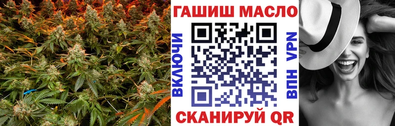 где найти   Кудрово  ТГК жижа 