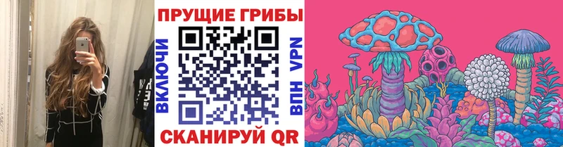 купить наркотики цена  мега tor  Псилоцибиновые грибы GOLDEN TEACHER  Кудрово 