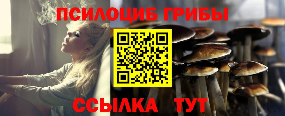 Псилоцибиновые грибы GOLDEN TEACHER Кудрово