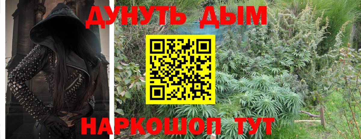 Кудрово  Шишки марихуана OG Kush  Вход с VPN  Каннабис ГИДРОПОН  Марихуана марихуана  Конопля гибрид 